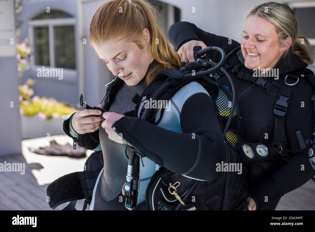 Scuba dive buddies helping each other to put on their BCDs. Stock Photo