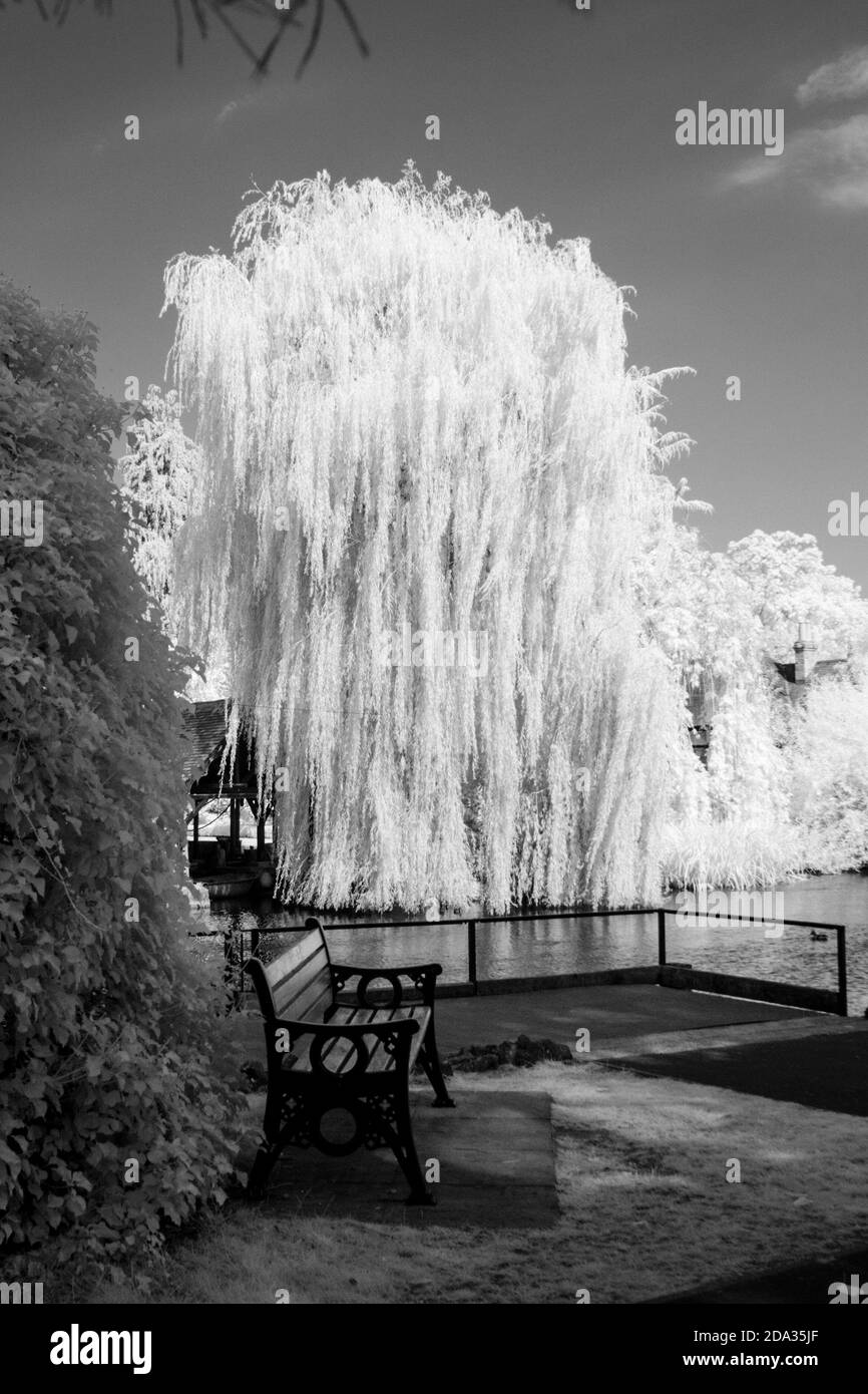 Maidenhead, Berkshire, UK., Sunday,  09/08/2020, Infra Red, Raymill Island, General View,   [Mandatory Credit: Peter Spurrier], Stock Photo