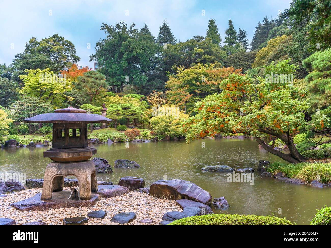 tokyo, japan - october 29 2020: Cat sheltering from the autumn rain under a Yukimi stone lantern at the edge of the pond of the Japanese garden design Stock Photo