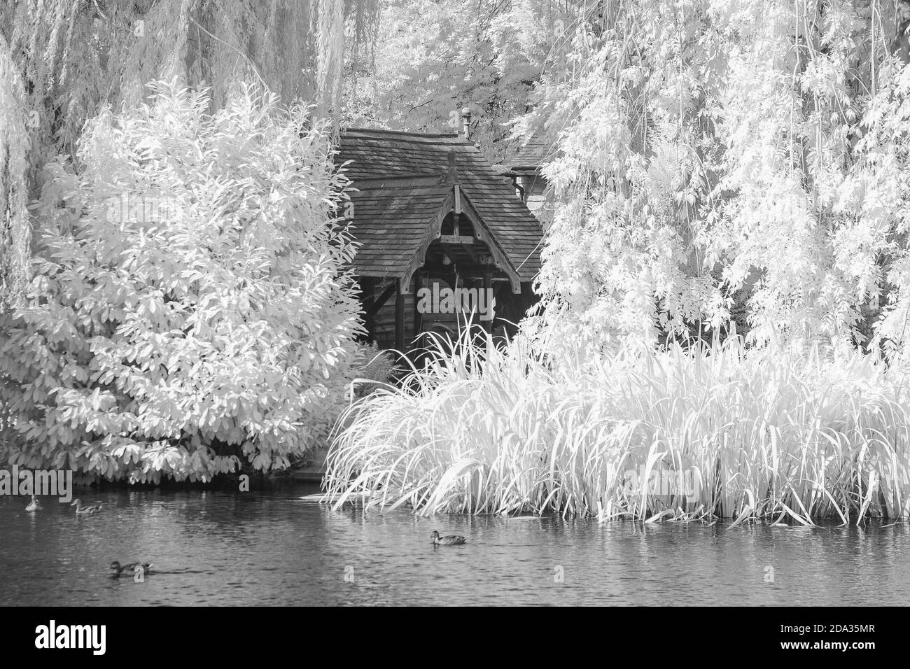 Maidenhead, Berkshire, UK., Sunday,  09/08/2020, Infra Red, Raymill Island, General View,   [Mandatory Credit: Peter Spurrier], Stock Photo