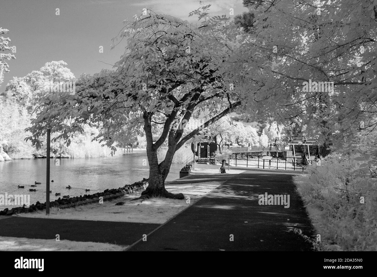 Maidenhead, Berkshire, UK., Sunday,  09/08/2020, Infra Red, Raymill Island, General View,   [Mandatory Credit: Peter Spurrier], Stock Photo