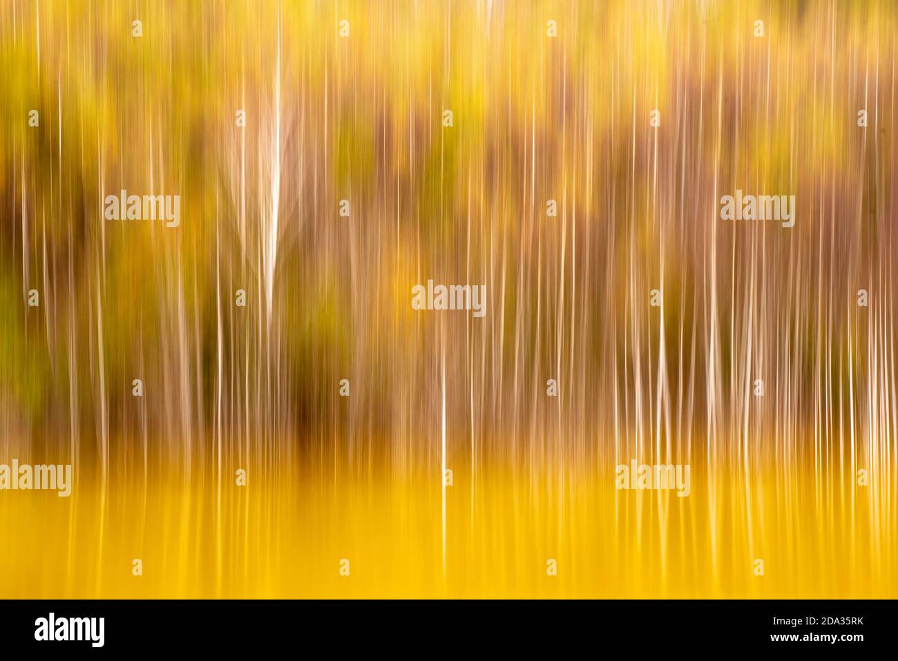Photo Technique For Making Backgrounds Stock Photo Alamy Photo Technique For Making Backgrounds Stock Photo Alamy
