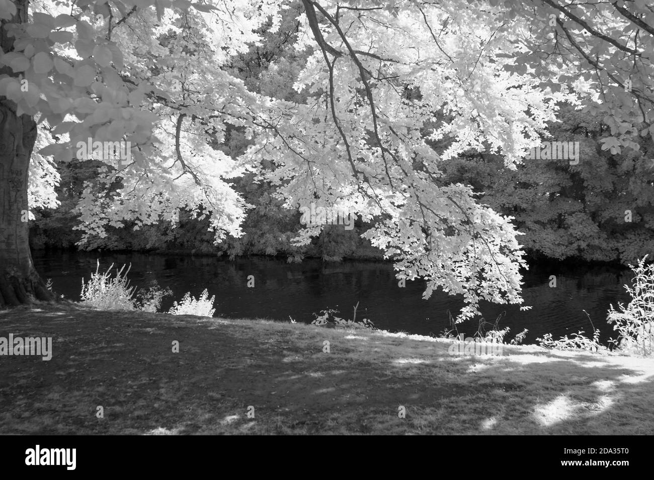 Maidenhead, Berkshire, UK., Sunday,  09/08/2020, Infra Red, Raymill Island, General View,   [Mandatory Credit: Peter Spurrier], Stock Photo