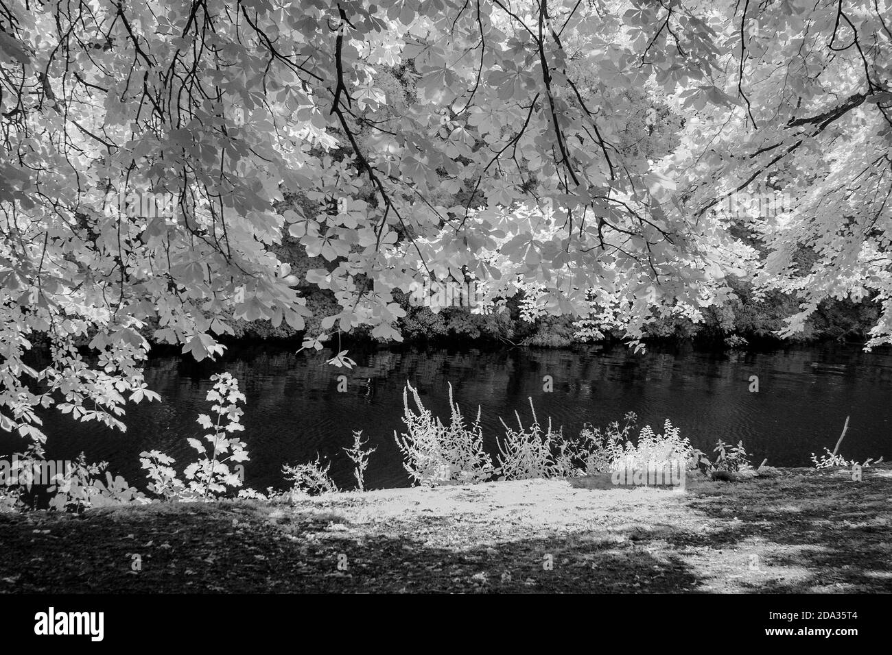 Maidenhead, Berkshire, UK., Sunday,  09/08/2020, Infra Red, Raymill Island, General View,   [Mandatory Credit: Peter Spurrier], Stock Photo