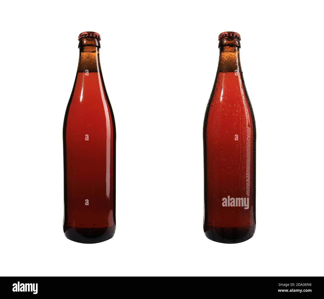 Vertical shot of two bottles of beer isolated on white background Stock