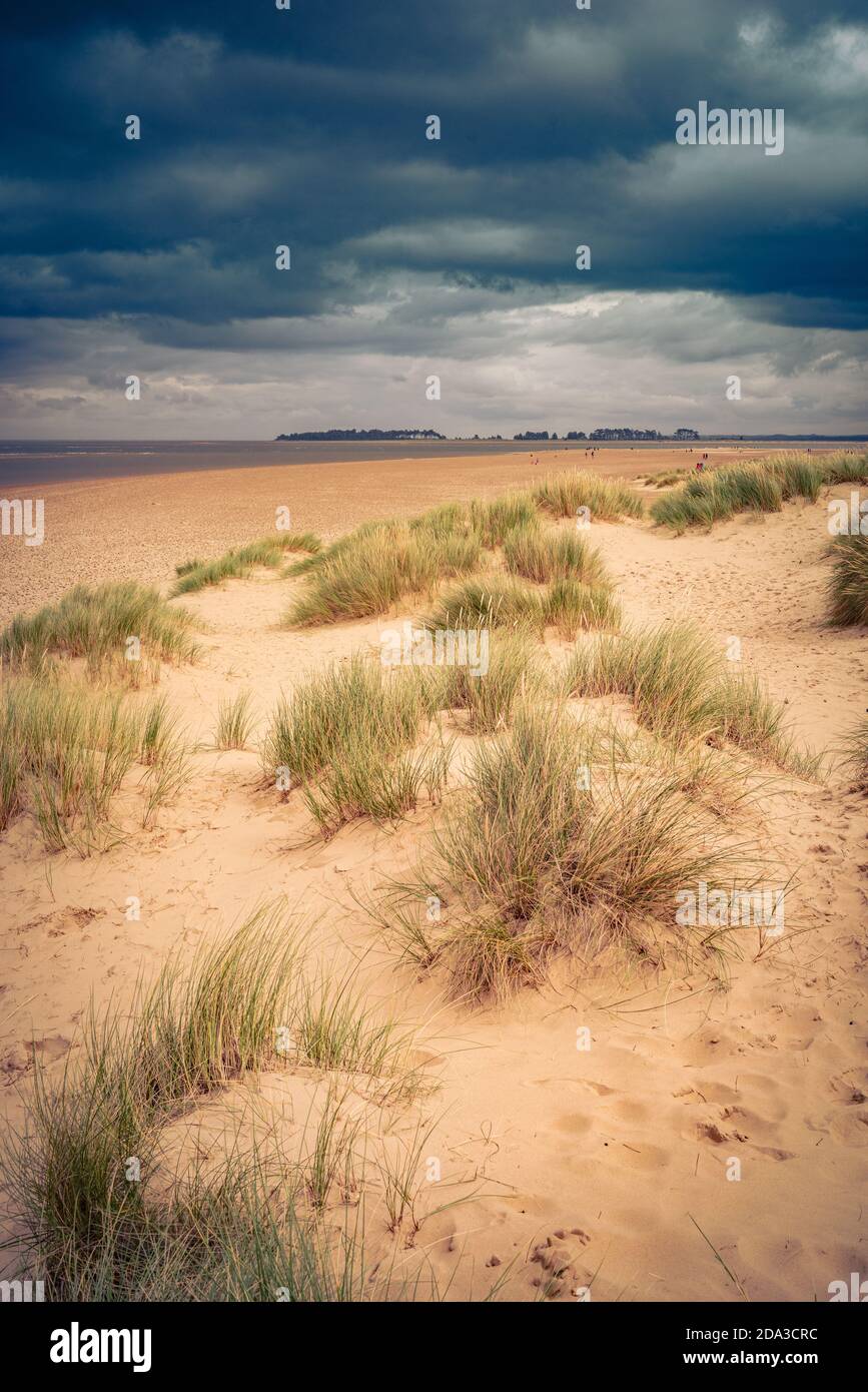 Scenic landscape of the wide beach sands at Holkham in north Norfolk, England with dog walkers Stock Photo