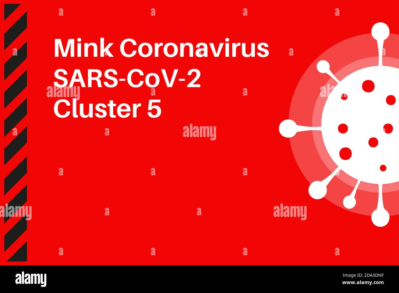 Mink coronavirus SARS-COV-2 Cluster 5 vector illustration on a red background with a virus logo Stock Vector