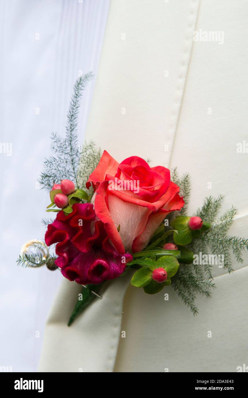 Red rose buttonhole being worn on a gentleman's lapel at a wedding. Stock Photo