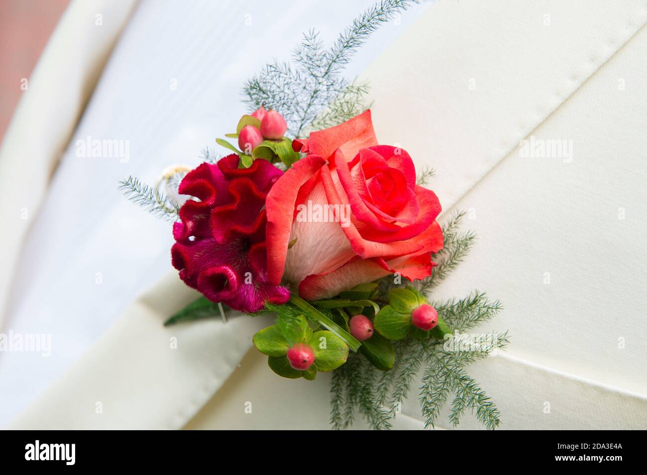 Red rose buttonhole being worn on a gentleman's lapel at a wedding. Stock Photo