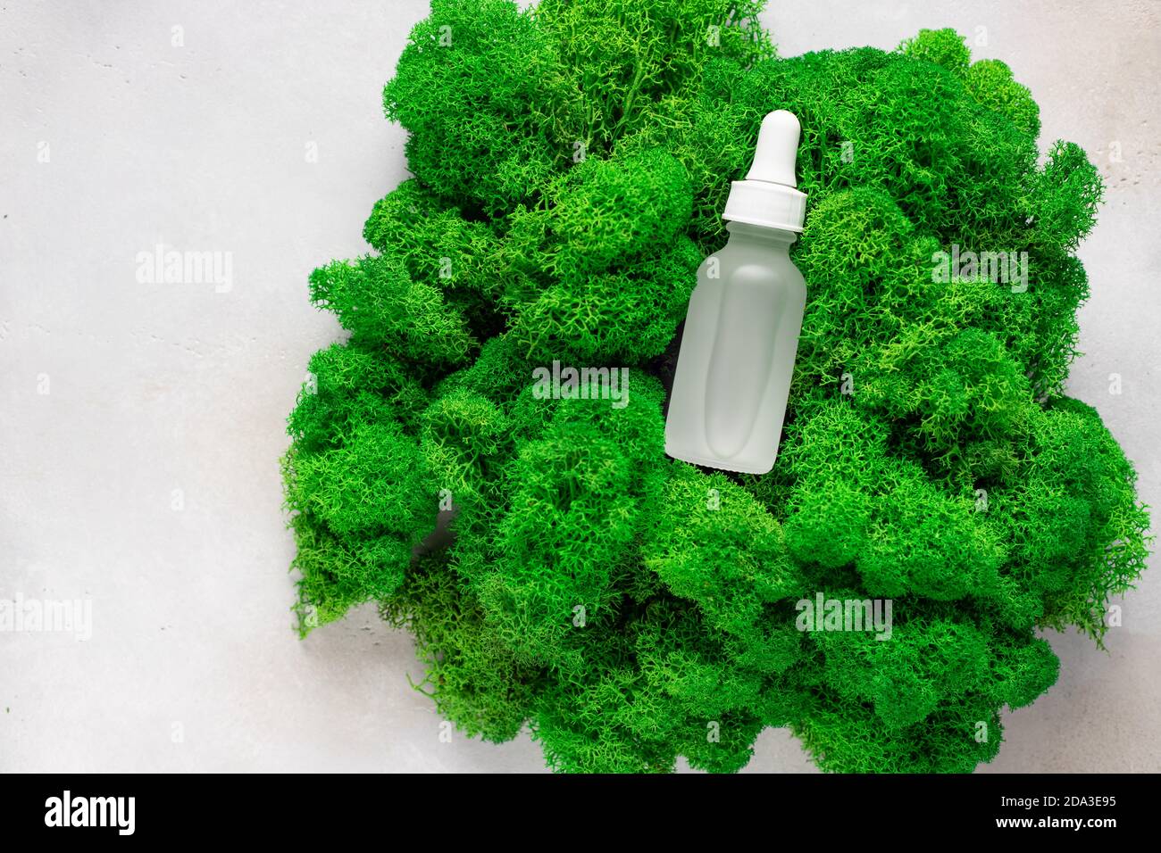 Beauty cosmetic skincare serum in matte bottle on green moss. Stock Photo