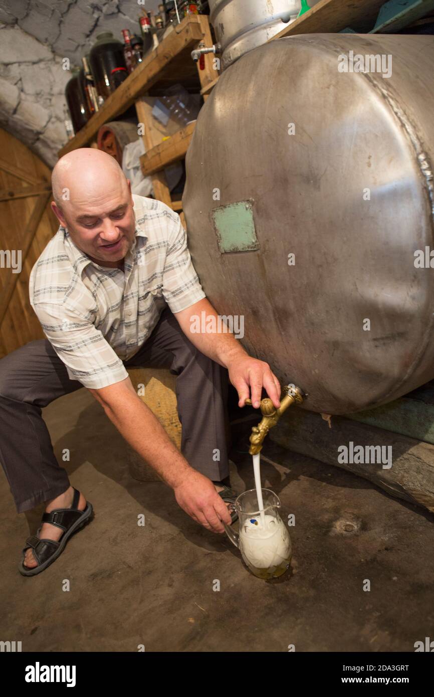 A farmer pours a pitcher of homemade wine from a vat in his cellar in Kalaraci District, Moldova. Stock Photo