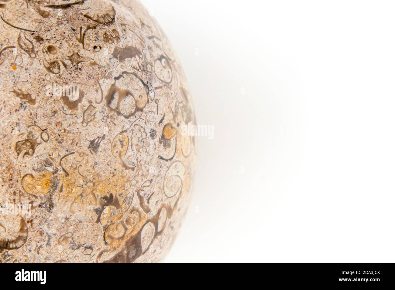 Polished granite stone sphere with interesting fossillike patterns