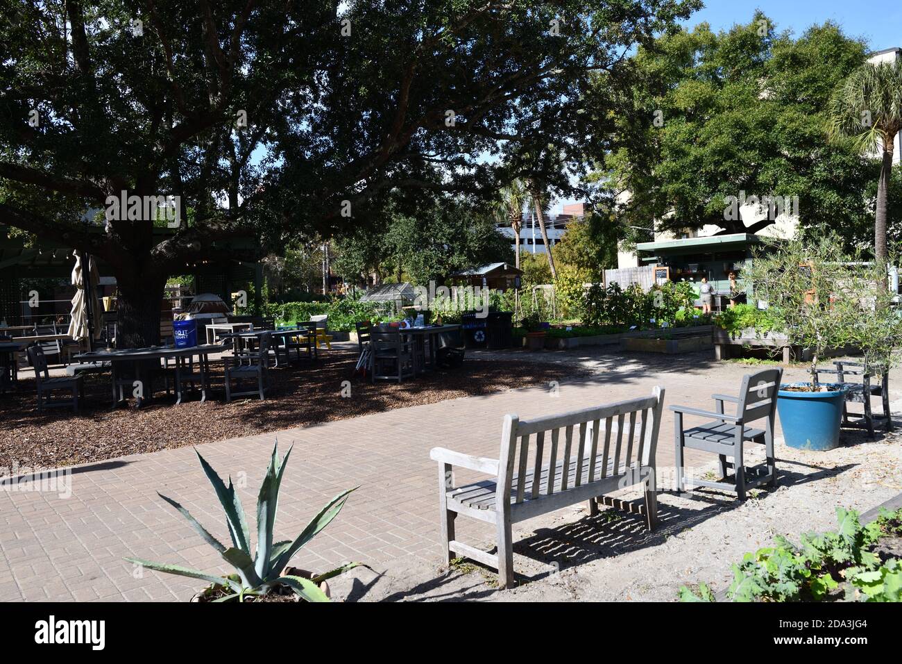 Urban Gardens; Their Settings of an 1850 English Village in USA for Elderly, Kale, Plants, Growing Greens, Trolley, Fire Station,Picnic in Garden. Stock Photo