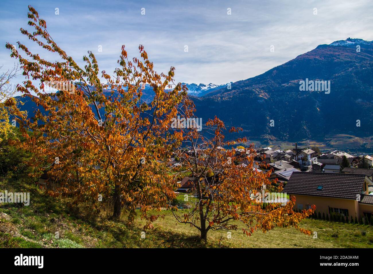 chermignon d'en bas in valais in swiss Stock Photo - Alamy