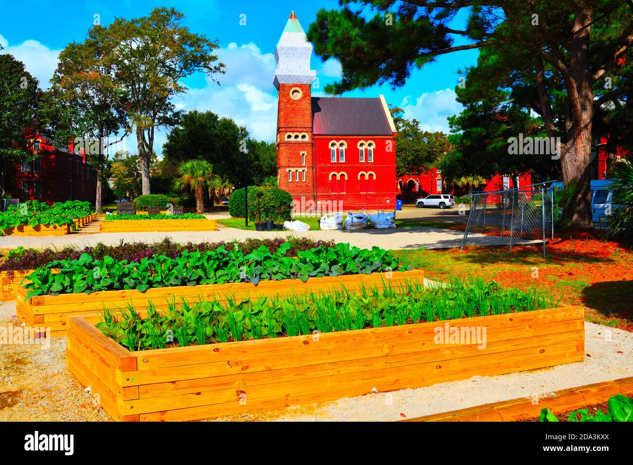 Urban Gardens; Their Settings of an 1850 English Village in USA for Elderly, Kale, Plants, Growing Greens, Trolley, Fire Station,Picnic in Garden. Stock Photo