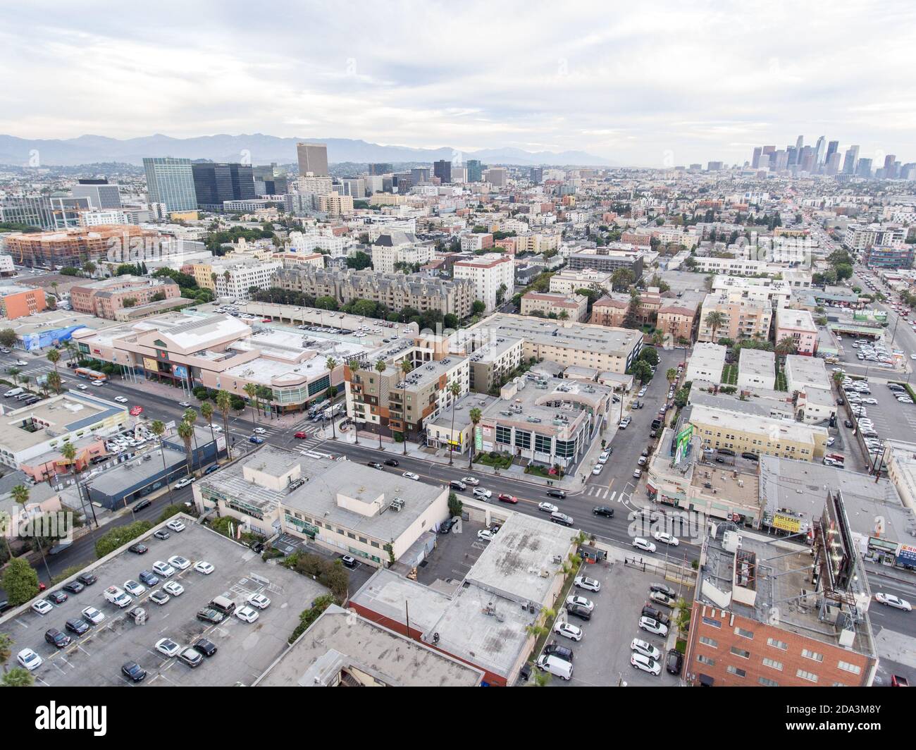 Olympic Blvd Los Angeles Experience