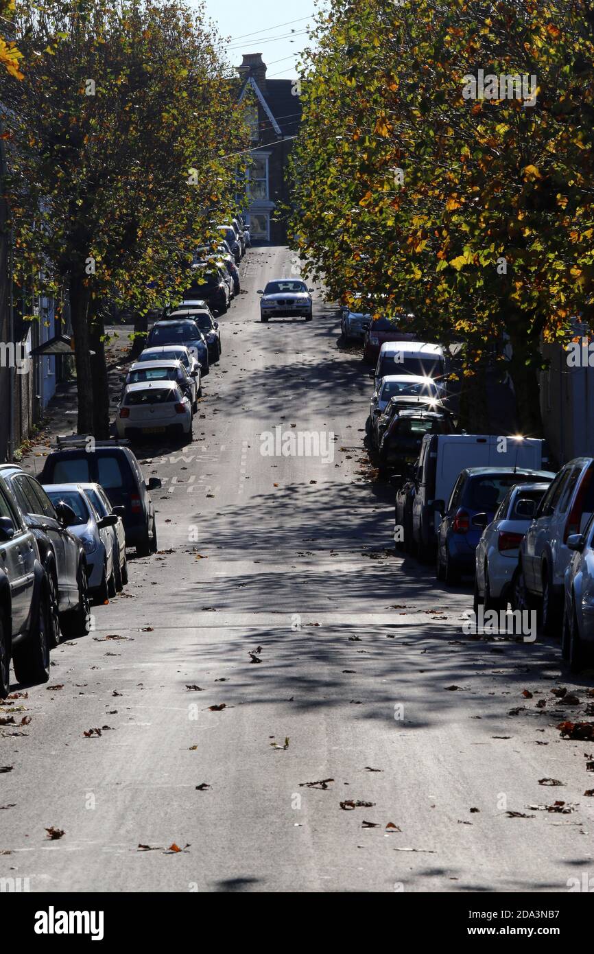 Tree lined city street full of parked cars Stock Photo