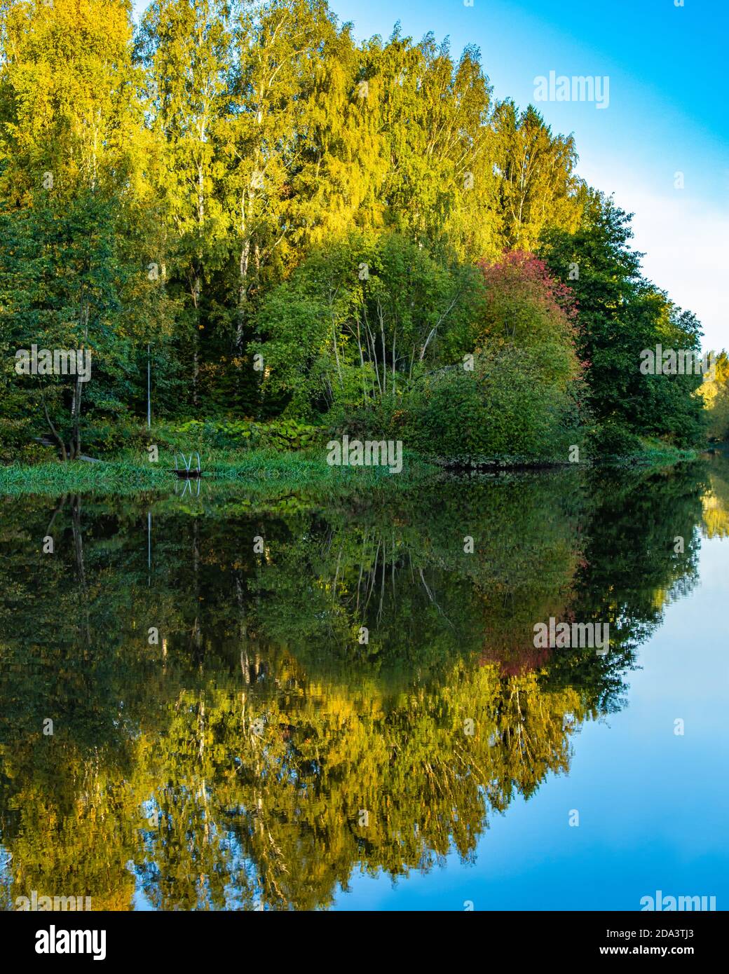 Trees reflection on calm blue water. Green forest reflected in lake.  Tranquil place. Green coastline of island. Perfect reflection. Morning light. Stock Photo