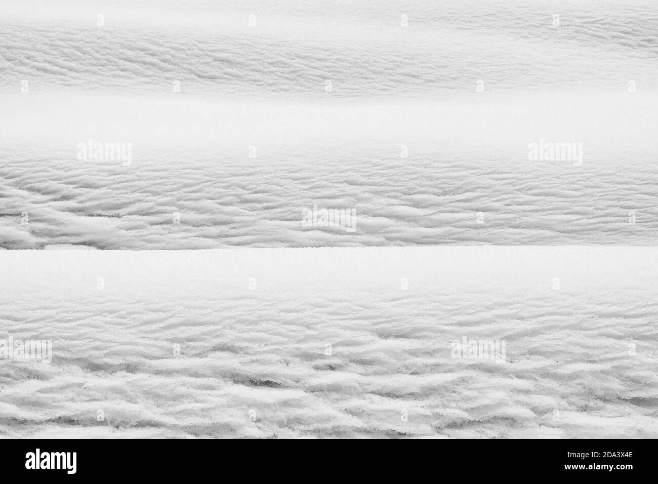 Winter snow. Snow texture Top view of the snow. Texture for design ...