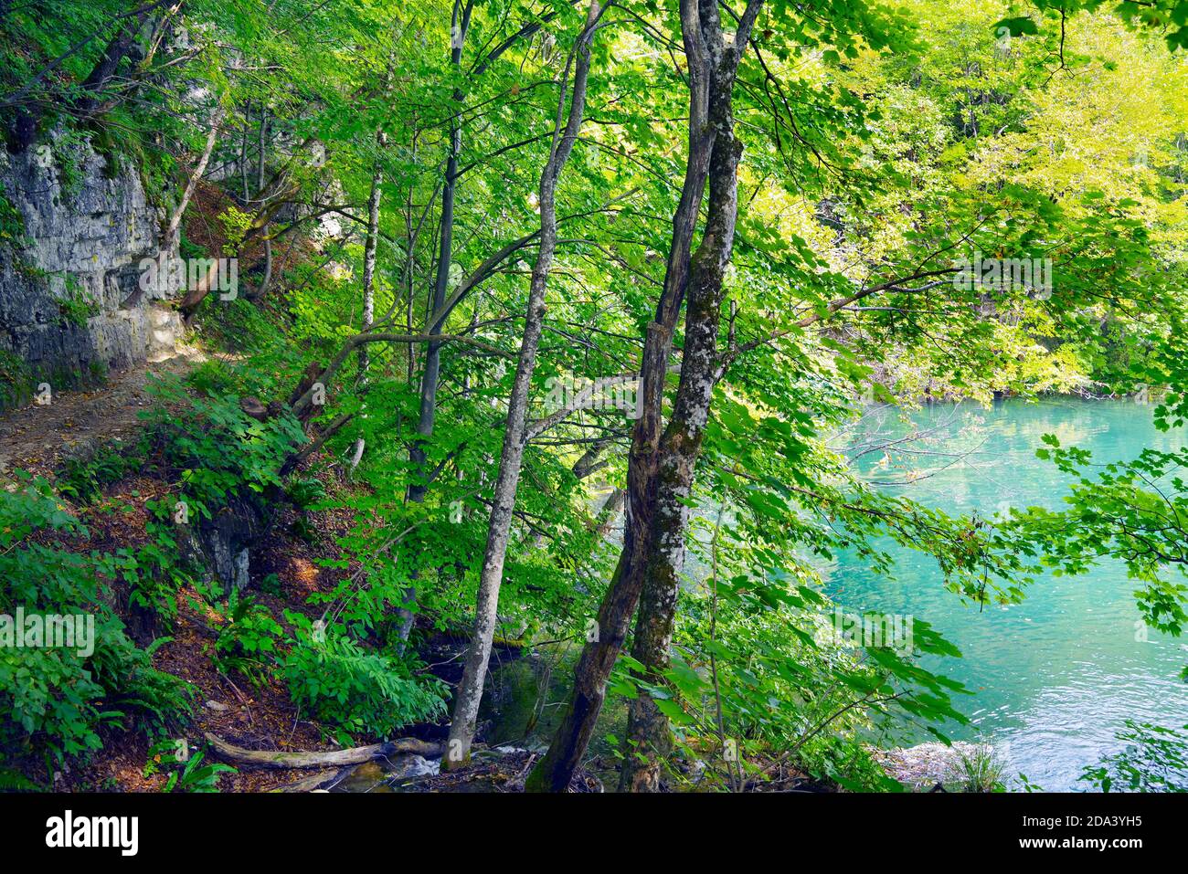 Abstract natural details in Plitvice National Park, Croatia, Europe Stock Photo