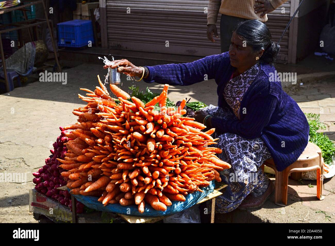 Ooty, Tamil Nadu, India - January, 2017: Woman selling fresh carrot on the street market Stock Photo