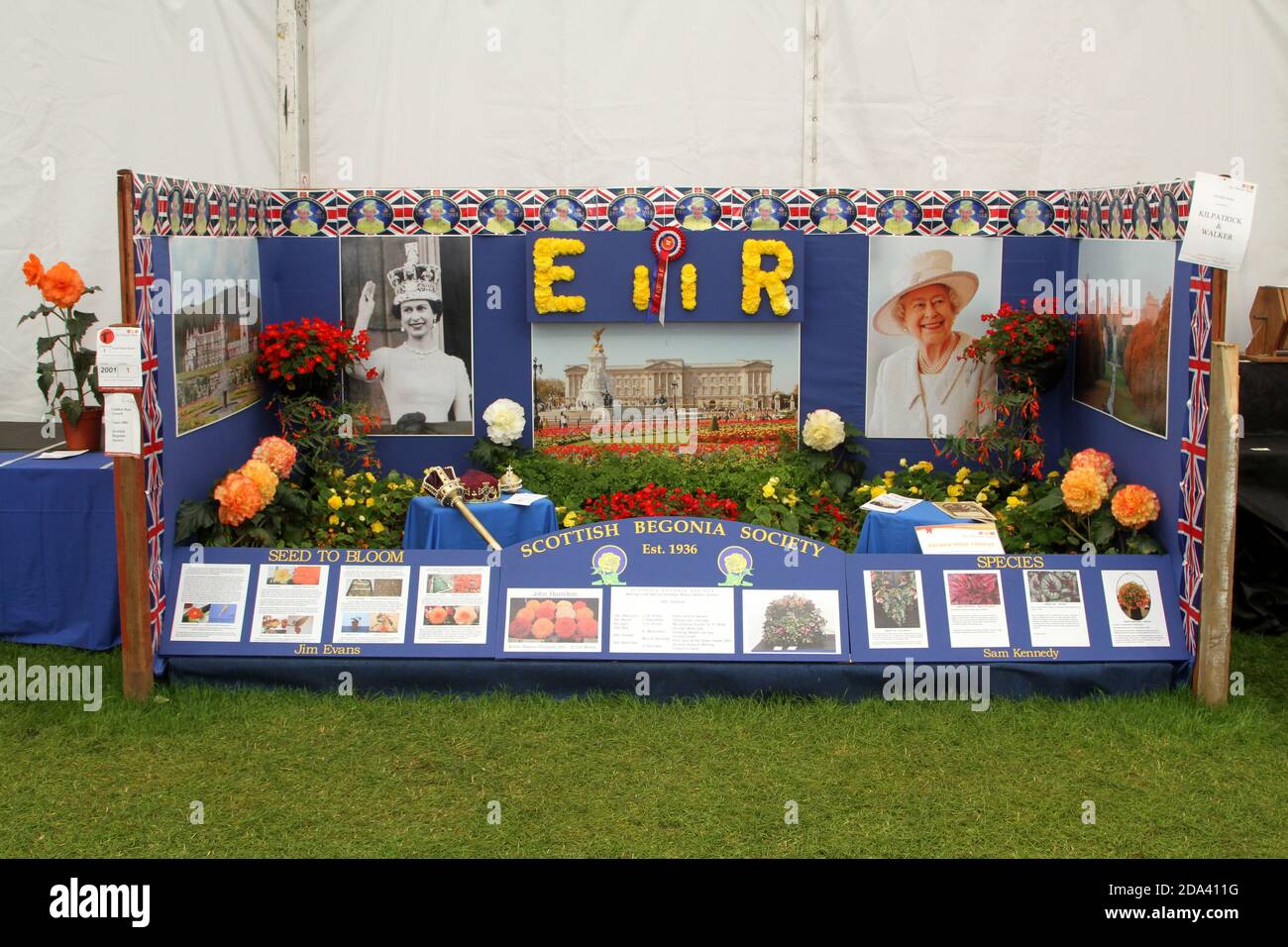Ayr Flower Show, Ayrshire, Scotland. Dispaly of flowers at the Scottish