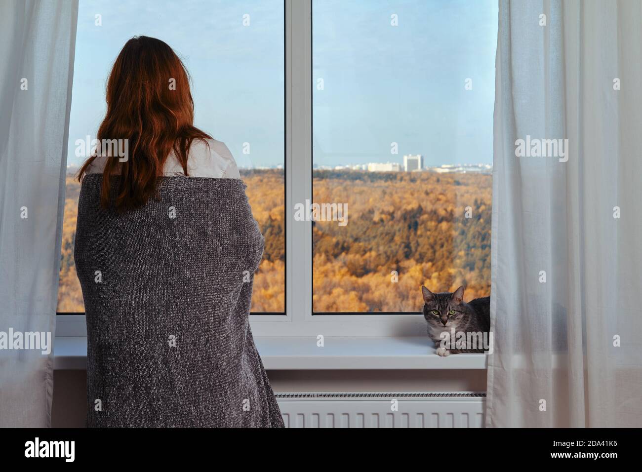 Adult Woman At The Window Wrapped In A Grey Blanket Next To A Cat Autumn Nature Outside The Window And Home Comfort Stock Photo Alamy