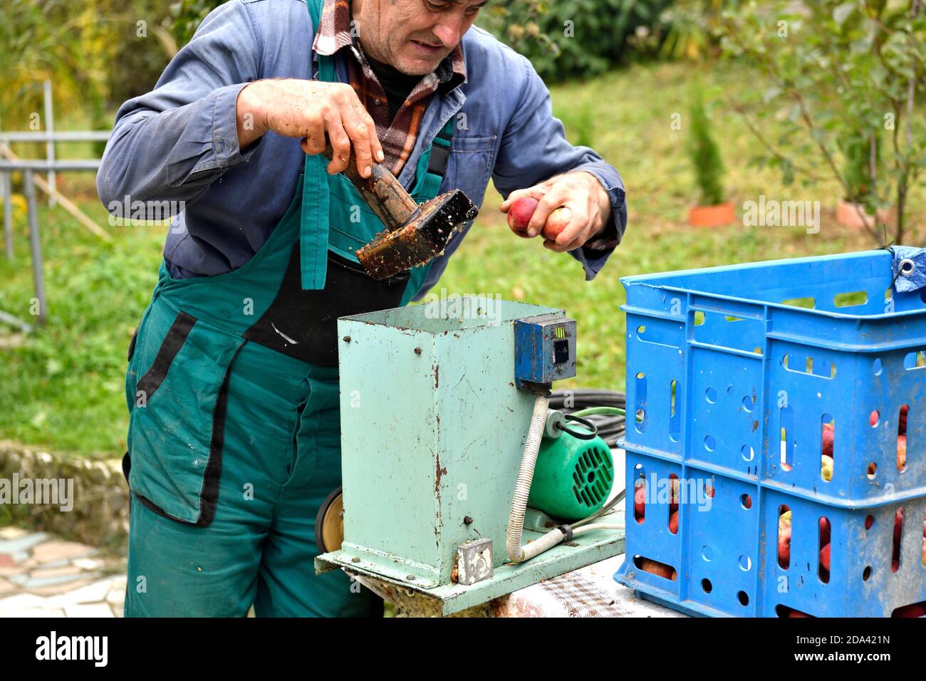 Crushing apples hires stock photography and images Alamy