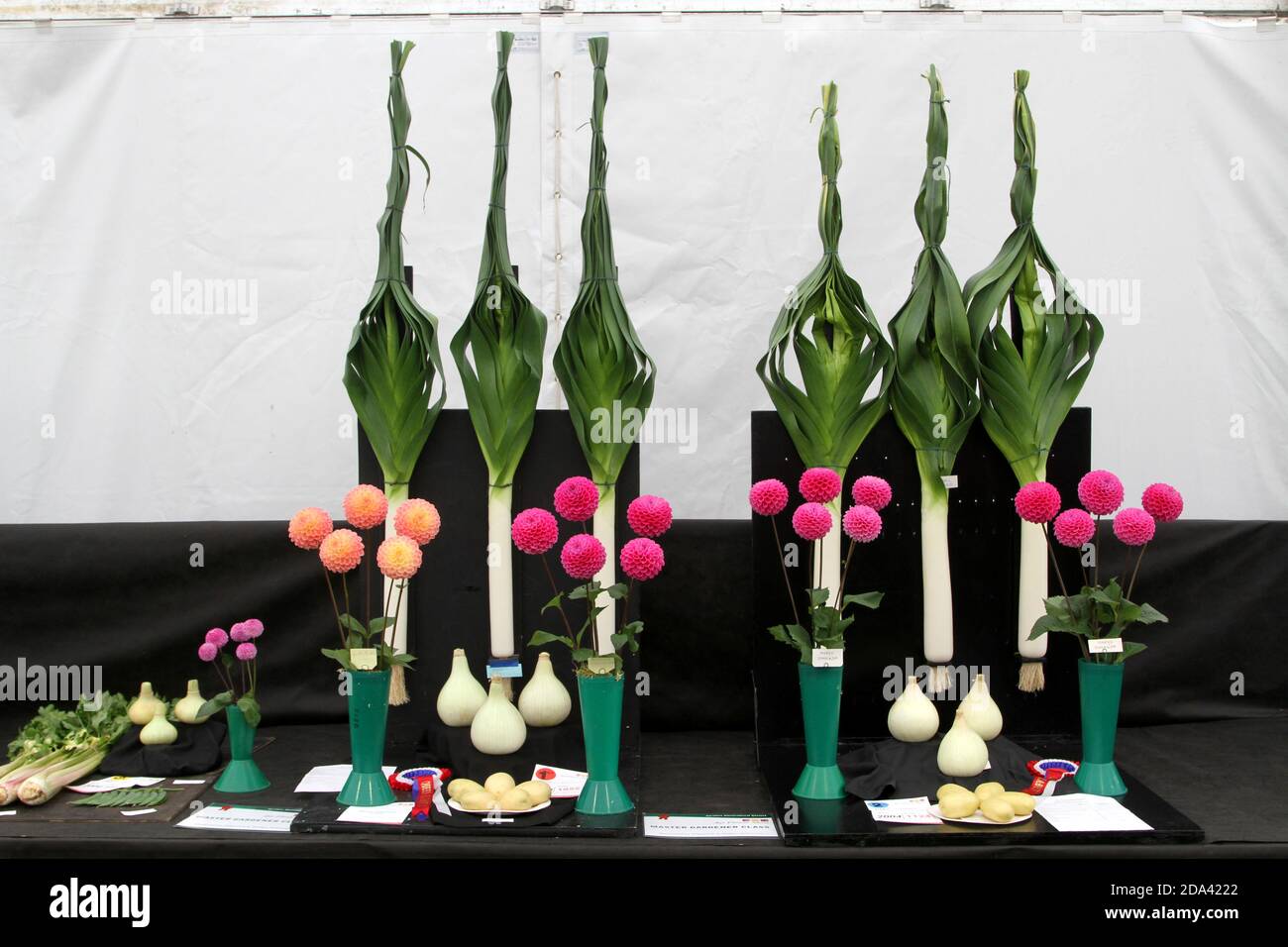 Ayr Flower Show, Ayrshire, Scotland.Display of vegatables Stock Photo ...