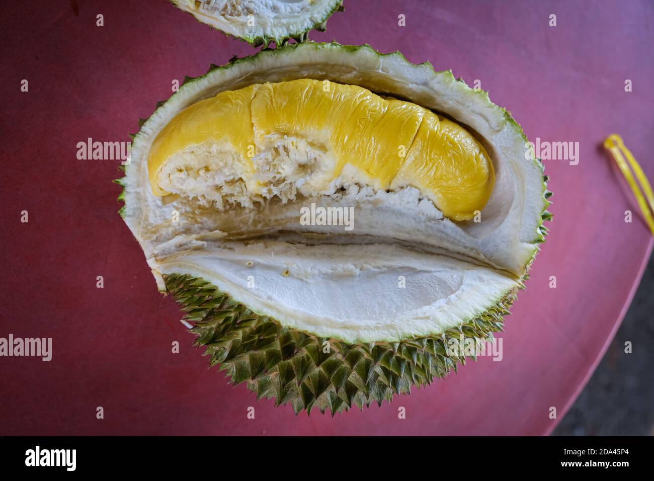 Closed up shot of The Musang King durian, also known by its original name Raja  Kunyit, has deep yellow flesh, broad and blunt spikes, a gap between th  Stock Photo - Alamy