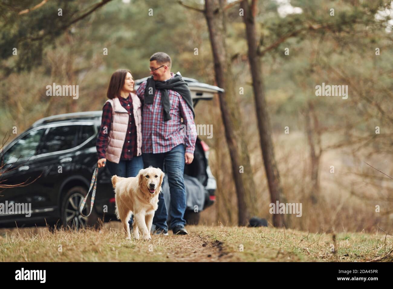 Happy mature couple have a walk with their dog in autumn or spring forest near modern car Stock Photo