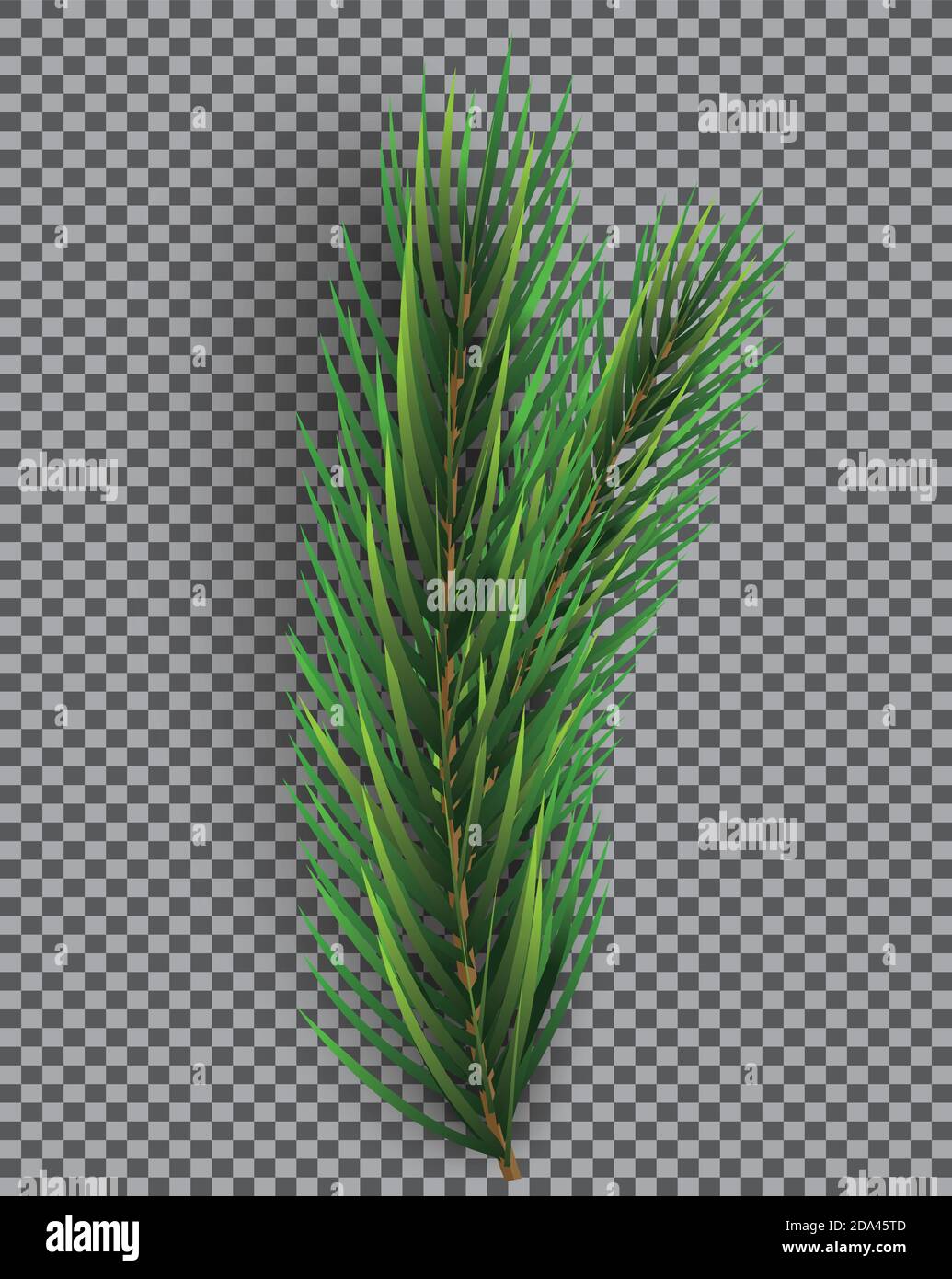 Fir Branch. Christmas Tree. Vector Illustration. Pine Sprig on Transparent Grid Background. Stock Vector