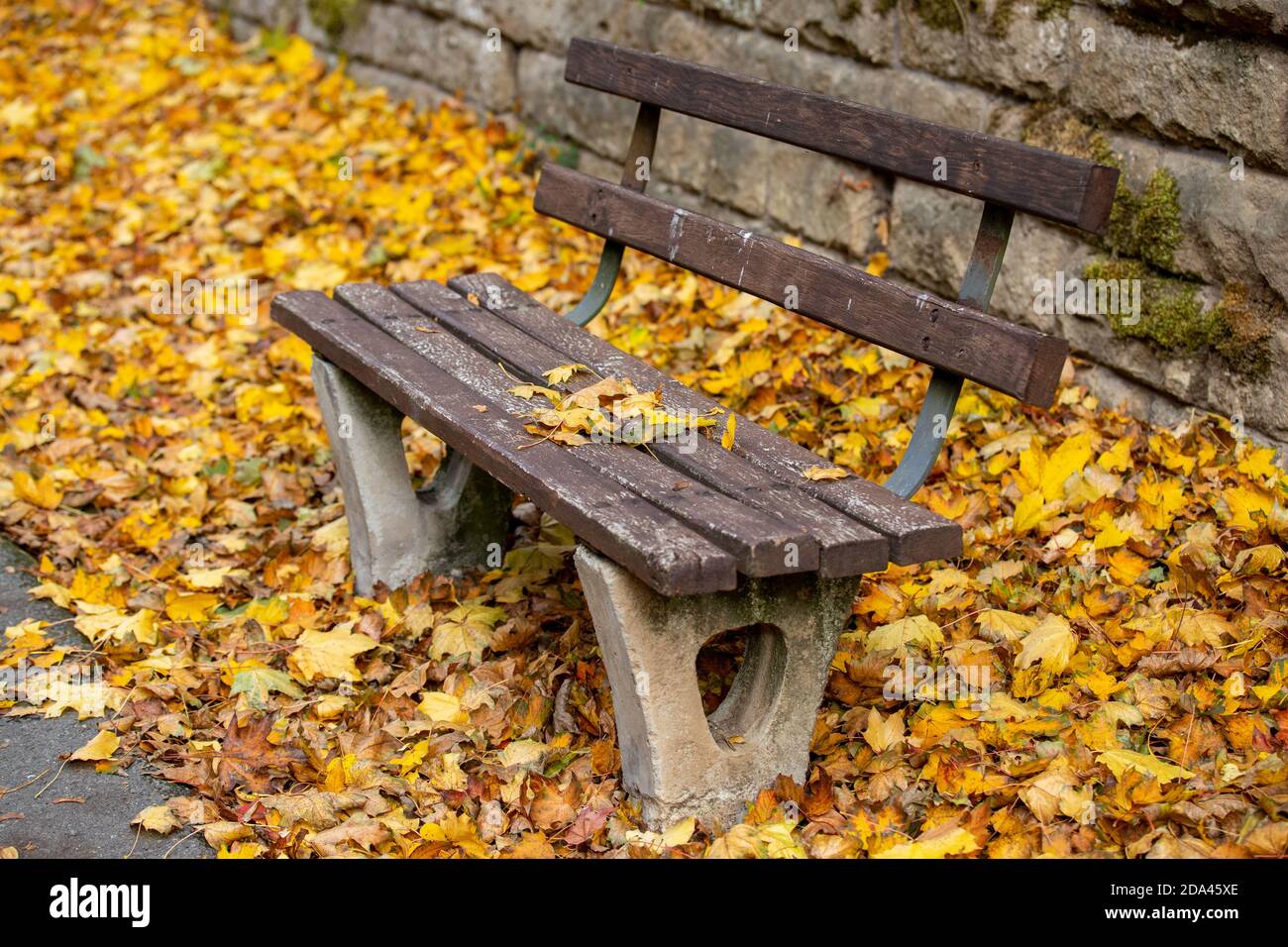 Wooden bench surrounded and covered by colorful autumn leaves Stock ...