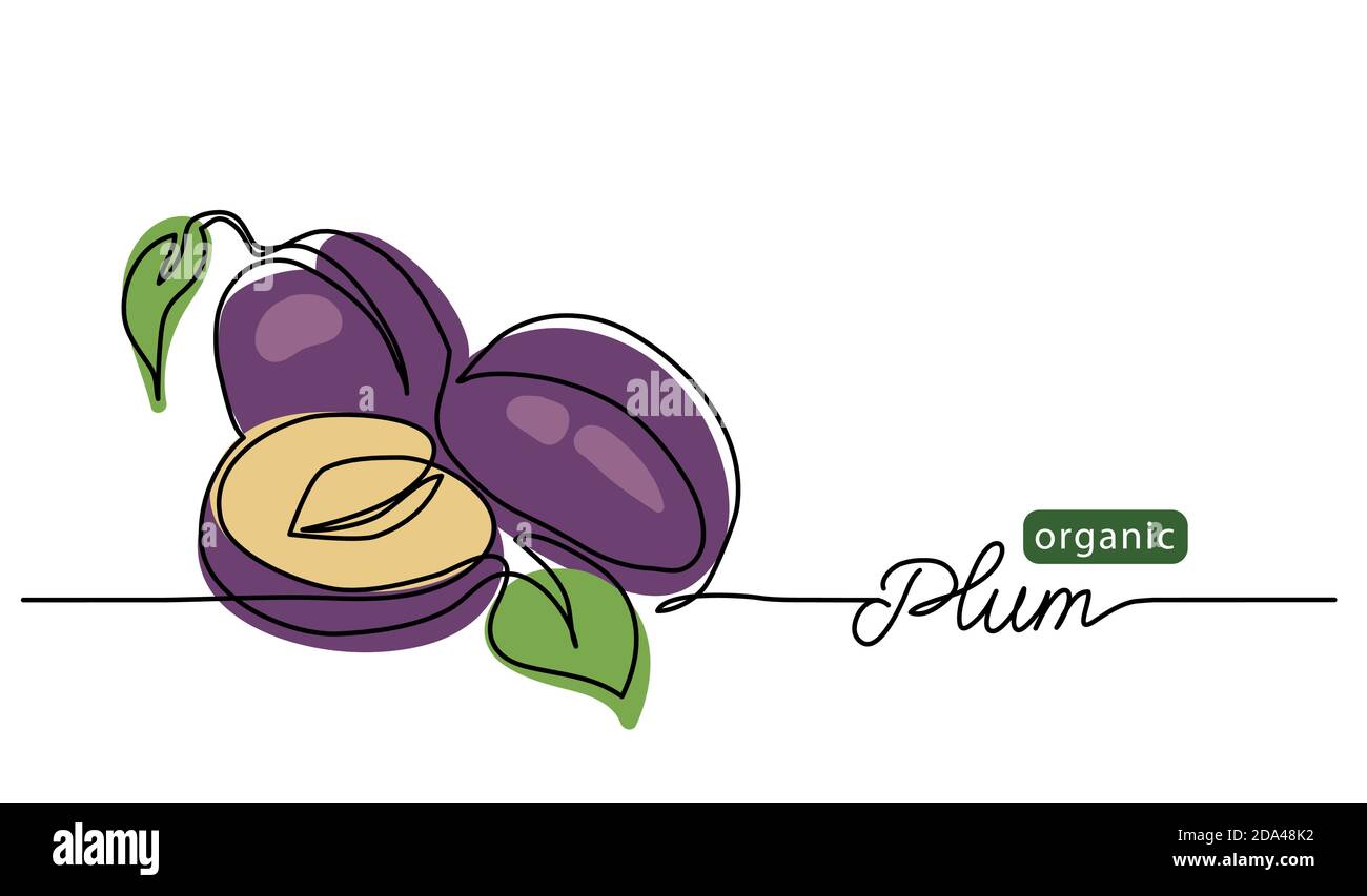 Plum vector illustration. One line drawing art illustration with lettering organic plum Stock Vector