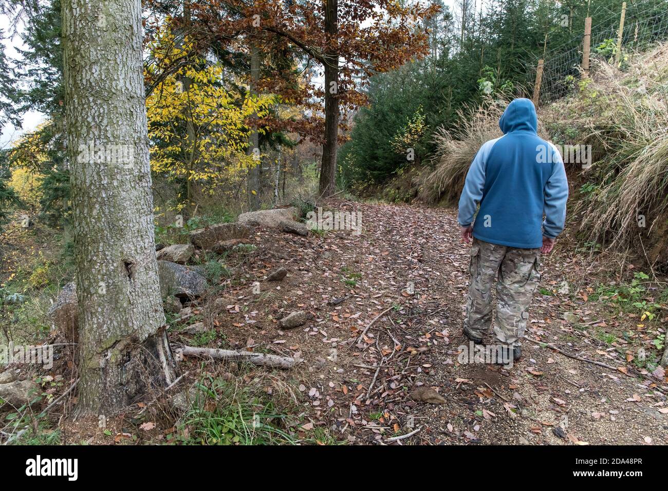 Man in a hood. Walking through the autumn forest. In the morning after the  rain. Lonely man in the woods Stock Photo - Alamy