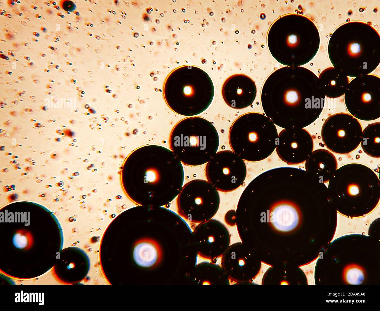 Coffee bubbles under the microscope Stock Photo Alamy
