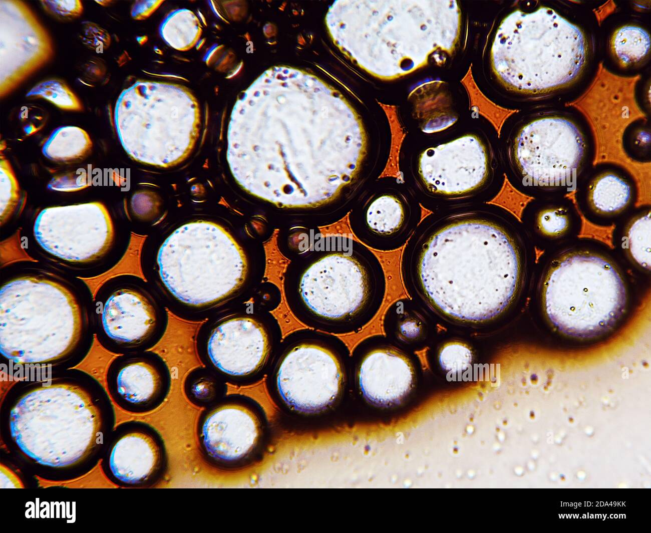 Coffee bubbles under the microscope Stock Photo Alamy