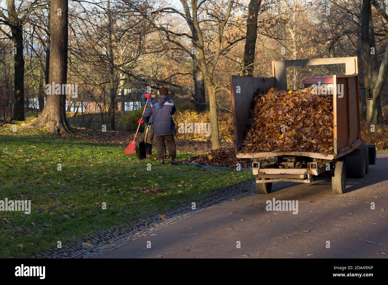 cleaning foliage in the Park.two cleaners rake leaves into a specialized machine Stock Photo