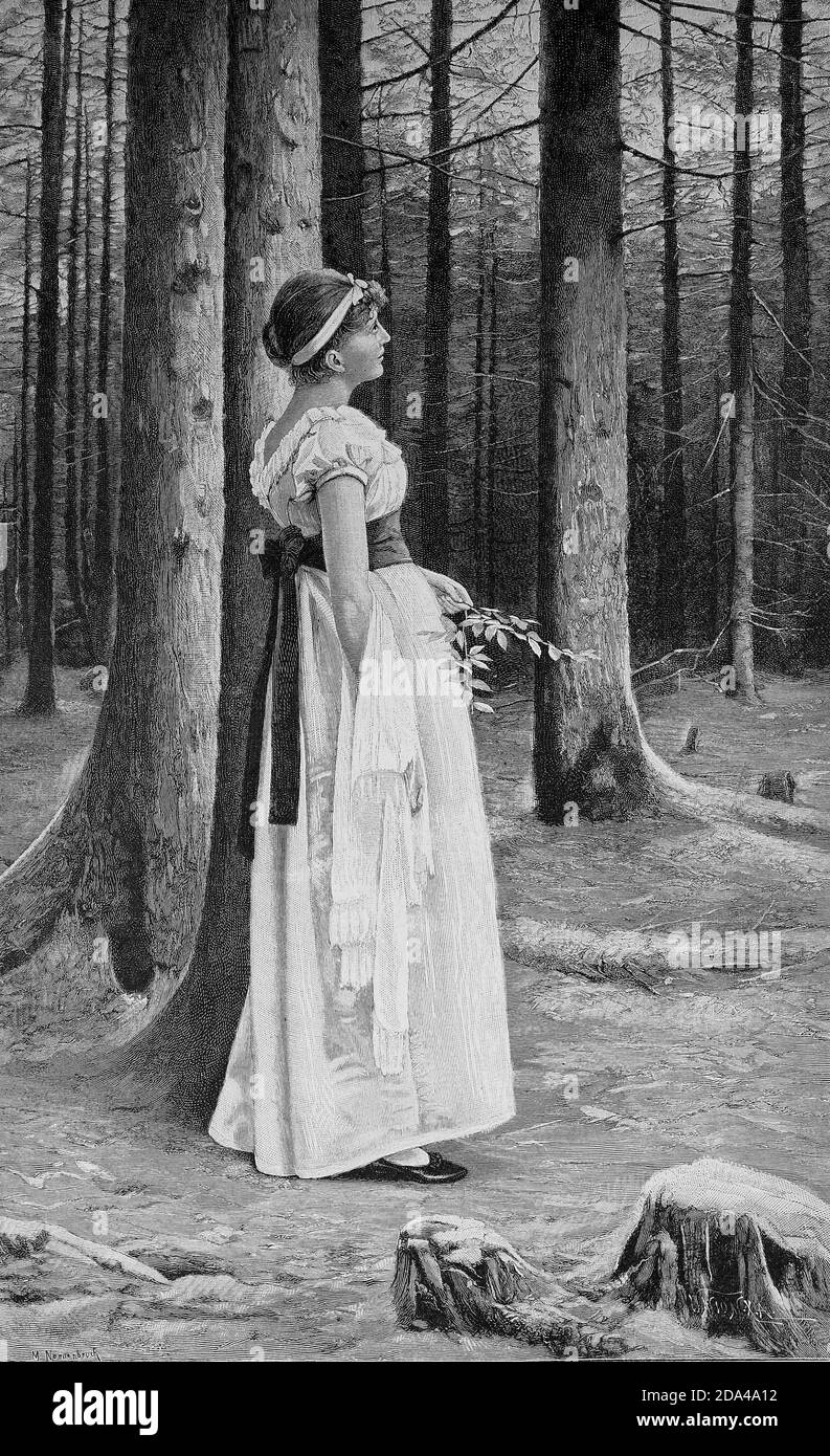 In the fir forest, young woman stands melancholically between the tree trunks  /  Im Tannenwald, Junge Frau steht melancholisch zwischen den Baumstämmen, Historisch, historical, digital improved reproduction of an original from the 19th century / digitale Reproduktion einer Originalvorlage aus dem 19. Jahrhundert Stock Photo