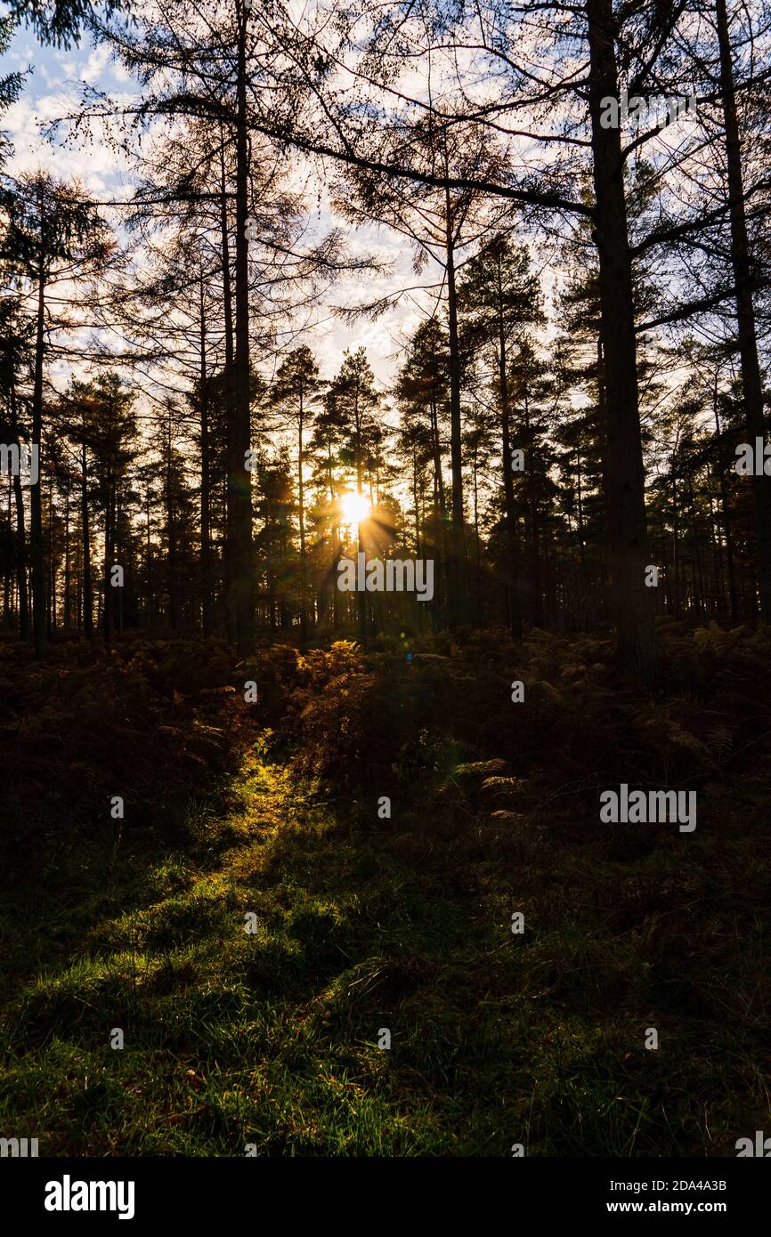 Penrith beacon hi-res stock photography and images - Alamy