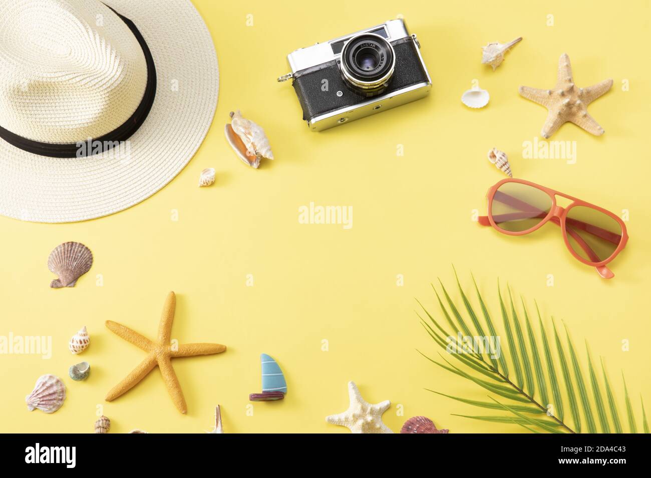 Top view of a camera, sunglasses and a hat next to plants and seashells ...