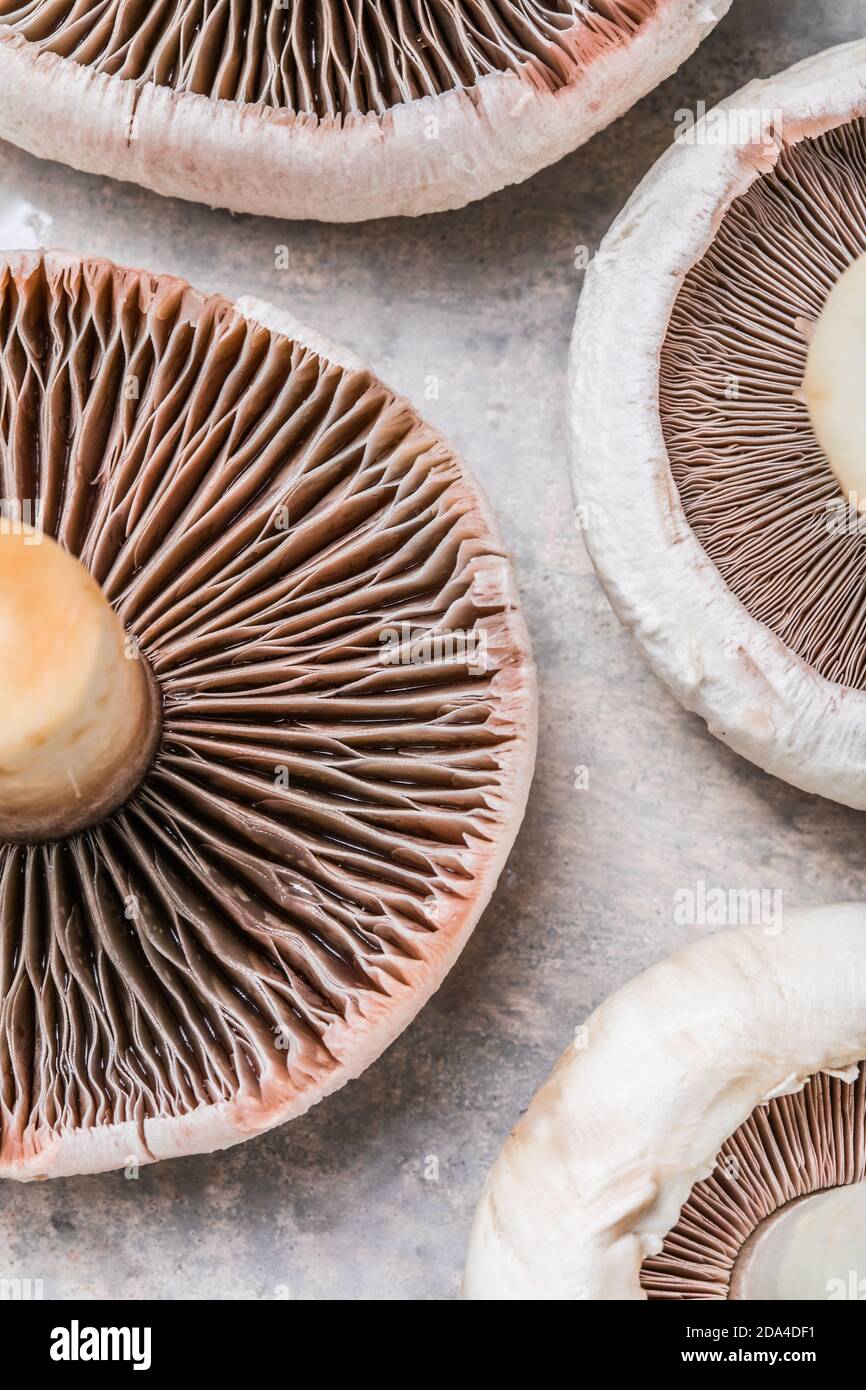 Top down view of dirty mushrooms in a black plastic container and a mushroom  cleaning brush on a textured surface Stock Photo