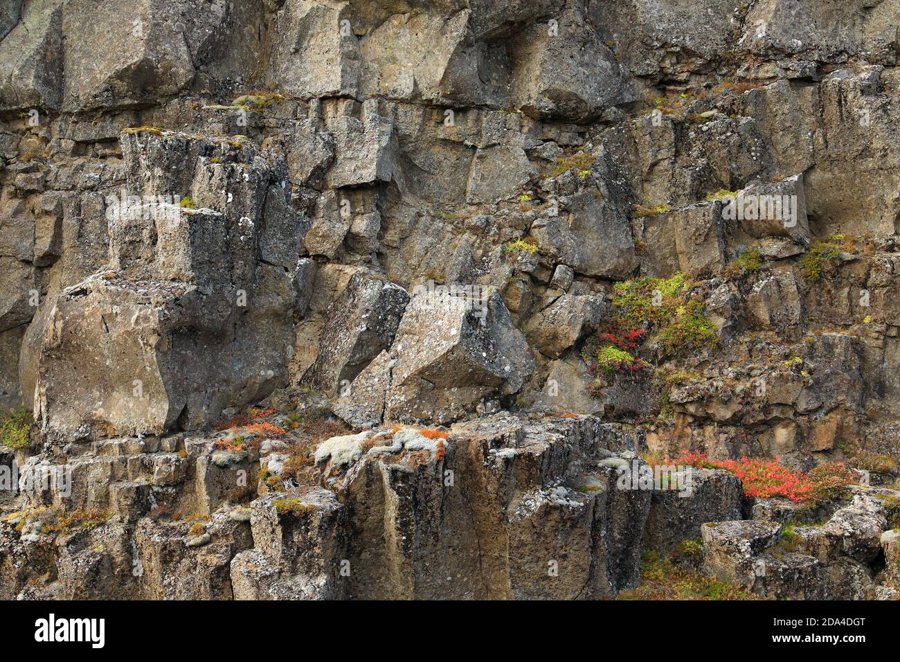 Iceland Mid Atlantic Ridge Rifting Thingvellir national park valley near Thingvallavatn lake lies in a ...