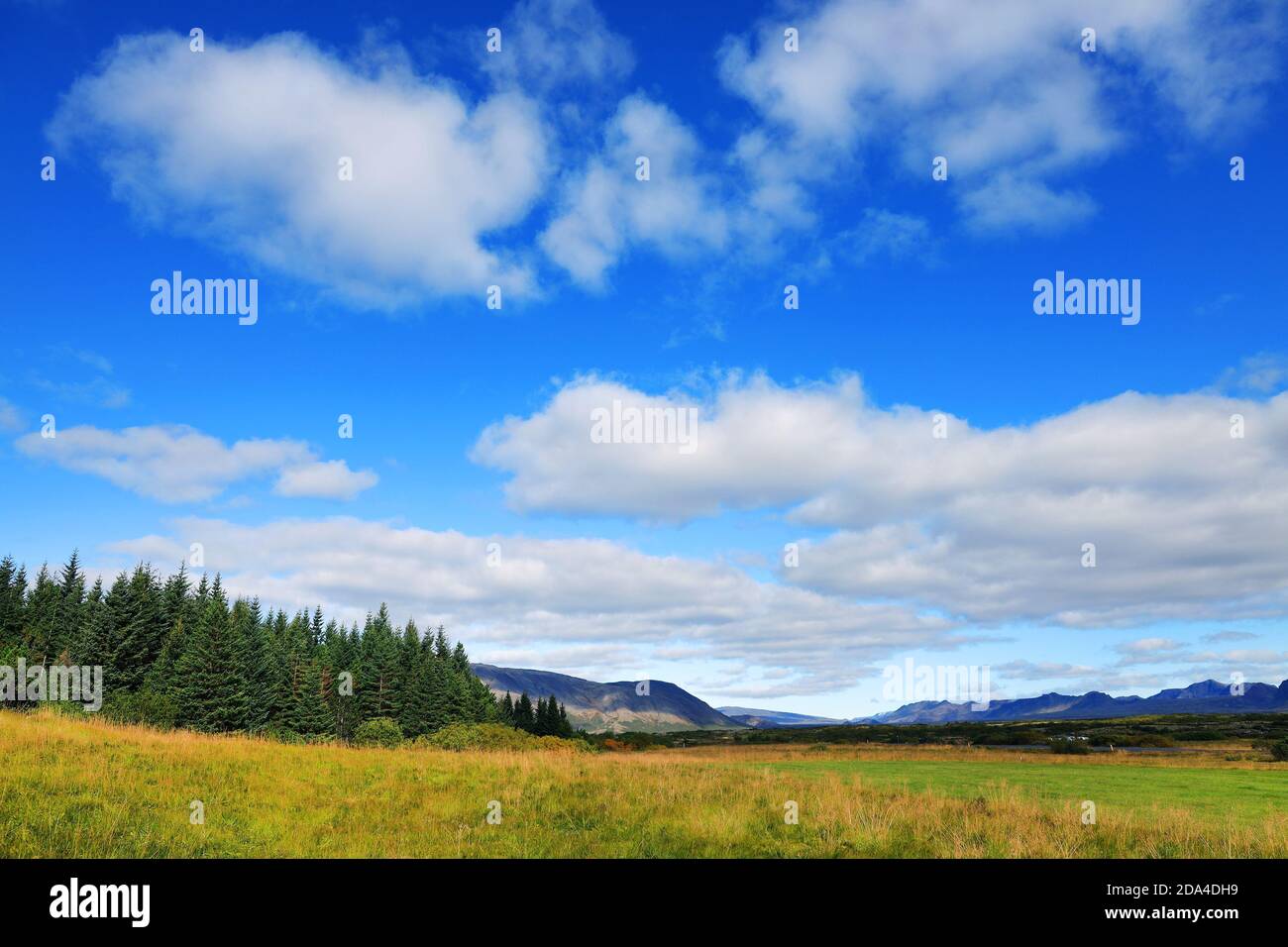 Thingvellir national park valley near Thingvallavatn lake lies in a ...