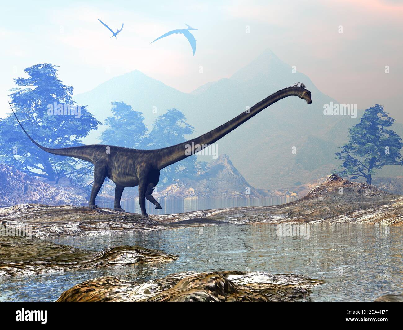 Barosaurus dinosaur walk 3D render Stock Photo Alamy