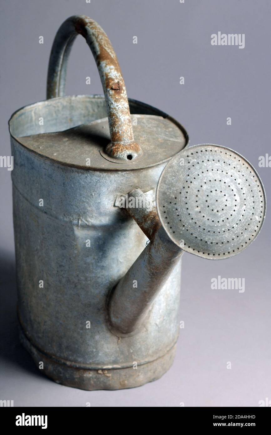 Antique metal watering can for gardening Stock Photo Alamy