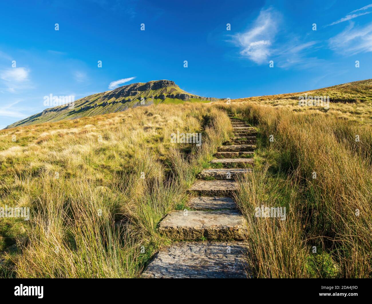 Pen-y-ghent mountain with path and steps. At 2277 feet it is one of the Three Peaks of Yorkshire mountains. Yorkshire Dales National Park Stock Photo