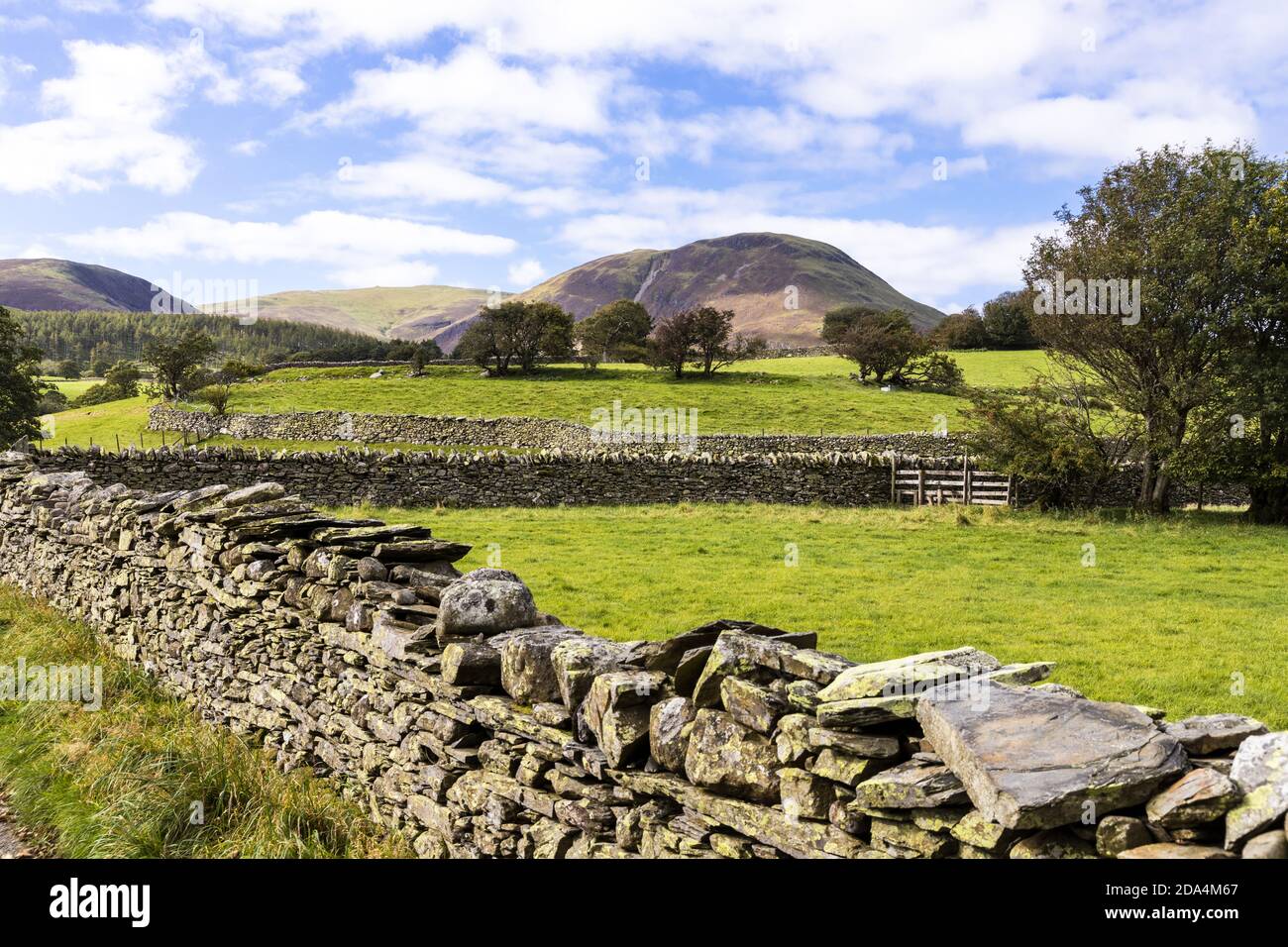 A little used lane between dry stone walls looking towards Loweswater Fell in the English Lake District near Loweswater, Cumbria UK Stock Photo