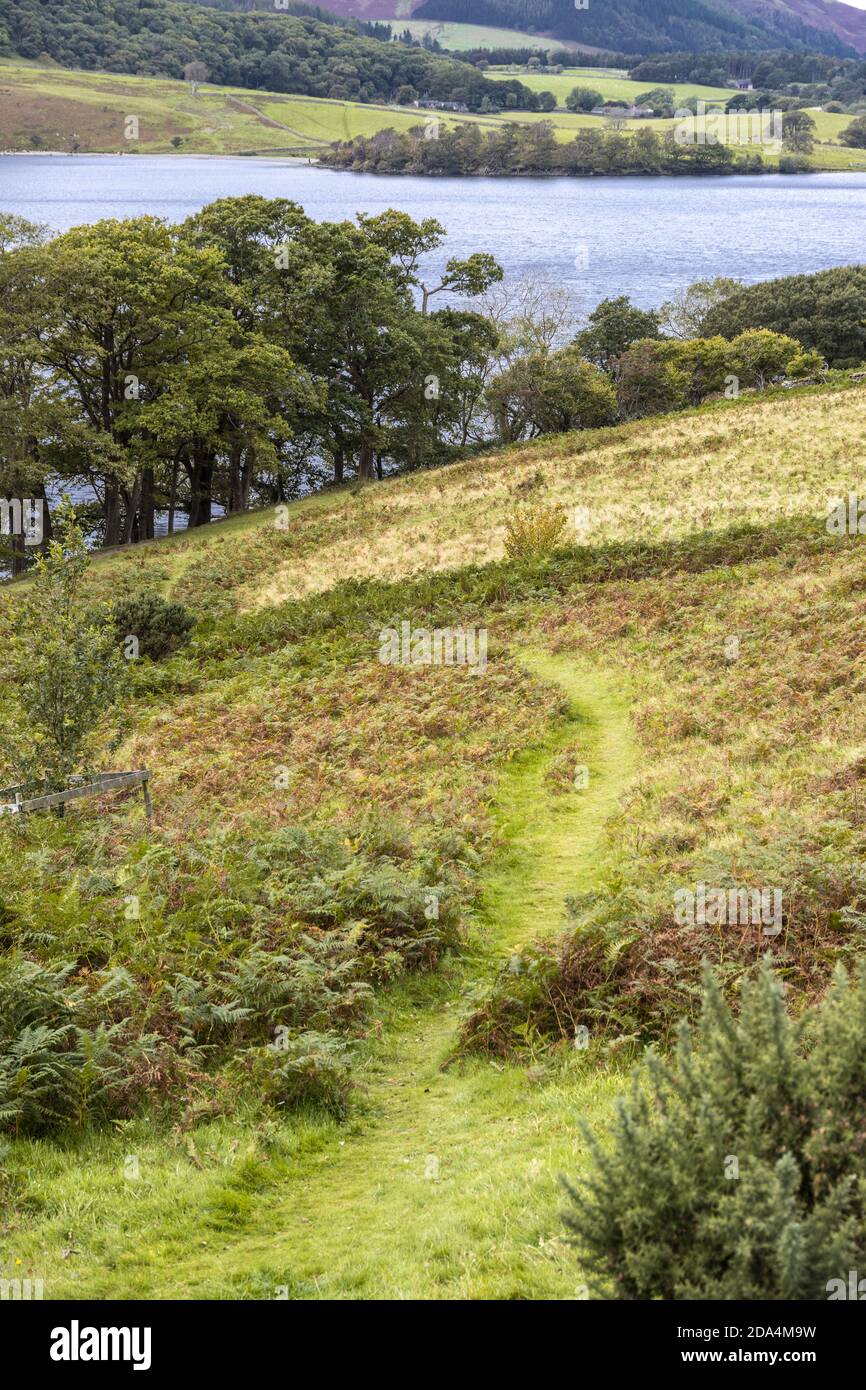 A grassy footpath leading down to Buttermere in the English Lake District, Cumbria UK Stock Photo