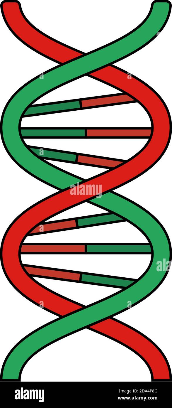DNA Icon. Editable Outline With Color Fill Design. Vector Illustration ...